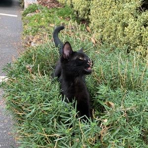 Meet your Posher, Sophia